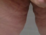 Pet pees for Owner 5/16