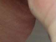 Pet pees for Owner 7/16