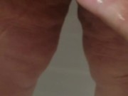 Pet pees for Owner 8/16