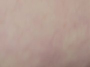 Pet pees for Owner 9/16