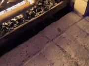 Have you ever came by a fireplace 🔥 12/16