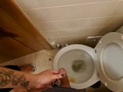 Busy stepsister helps her stepbrother his erection 6/16