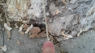 Peeing in public 8