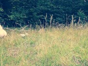 Public slut humiliated on leash HOT 15/16