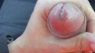 So much precum followed by a fat nut!! All while driving 1/2