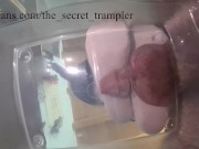 Stomping the cum out from your balls (preview) 4/16