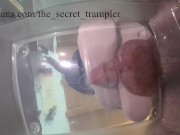 Stomping the cum out from your balls (preview) 5/16