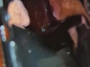 Spunk Lube Speculum Fun 10/16