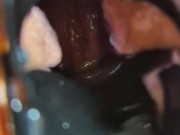 Spunk Lube Speculum Fun 8/16