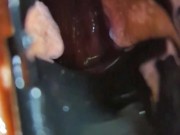 Spunk Lube Speculum Fun 9/16