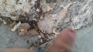 Peeing in public 9