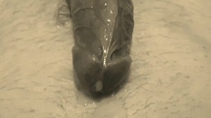 I like to masturbate dick 🍌and cum on myself💦
