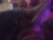 Cute cat makes his kitty litter his bed part 2 13/16