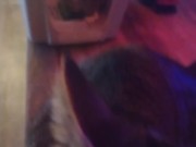 Cute cat makes his kitty litter his bed part 2 14/16