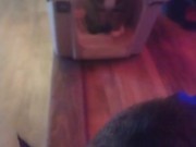 Cute cat makes his kitty litter his bed part 2 15/16