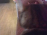 Cute cat makes his kitty litter his bed part 2 8/16