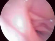 【解剖生理学】超小型カメラで元看護師の私が膣内を観察し紹介します。 1/16