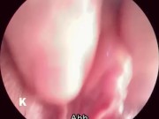 【解剖生理学】超小型カメラで元看護師の私が膣内を観察し紹介します。 10/16