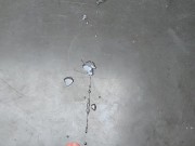 Hot Teen Cumshot At DINNER TABLE 16/16