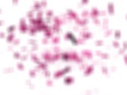 GIRLSRIMMING - Sexy Tiffany Tatum surprises her boyfriend with her friend the brunette Evelina Dellai in a hot rimming scene 15/16