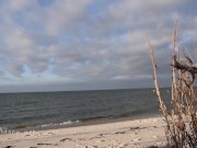 Showing off my naked body on the beach 7/16