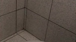 Paja en el baño del trabajo/ Daloff