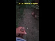 cogiendo a escondidas en el bosque  2/16