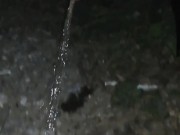 When the pee escapes, it is also done on the roadside