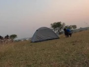 Outdoo in the tent at evening in a peaceful environment 15/16