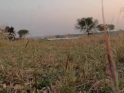 Outdoo in the tent at evening in a peaceful environment 2/16