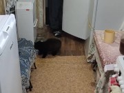 Pastime to yourself 1/16