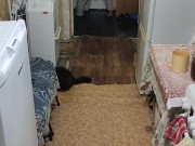 Pastime to yourself 3/16