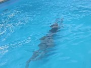 A Sexy Unknown Girl at the Pool asked me to Film Her Swimming, She thanked me with Sex.😏 1/16
