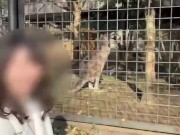 【個人撮影】こっそり撮影しながら寝てる彼女に悪戯♡最後は中出しまでしてしまうリアルな素人カップルの営み大公開♡／Japanese amateur hentai ／日本人／パイパン／色白／美少女 16/16