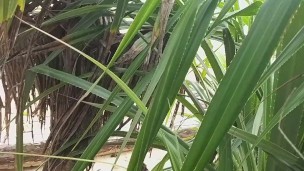 Let us PISS one another on Public OCEAN Beach