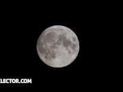 Lifeselector - Threeway FFM and MMF POV threesome fucking 1/16