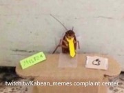 The Shameless Promotion To My Streams 13/16