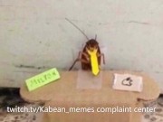 The Shameless Promotion To My Streams 15/16