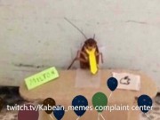 The Shameless Promotion To My Streams 16/16