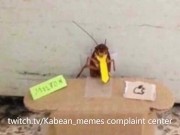 The Shameless Promotion To My Streams 9/16