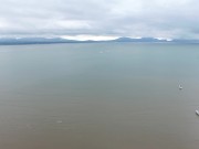 oops I ordered too many pizzas 4/16