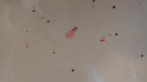 Creamy Toe Sock Valentine