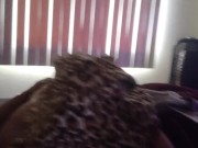 Get that nut part 3 1/16