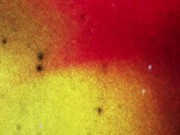 BOBSTGIRLS: Sensational black shemale in fishnet suit with big ass masturbates 1/16