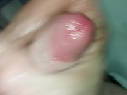 Money shot for my kitten 10/16