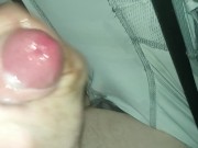 Money shot for my kitten 13/16