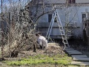 Spring has come, I am gardening 11/16