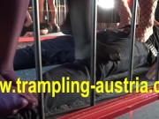 disco trampling 11/16