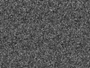 Miss Selene defends her title against papi loco 🍑🍆😘 7/16