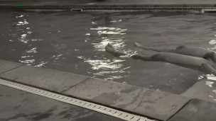 big wet bulge white wet pool play